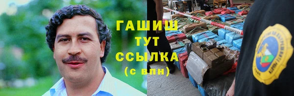 шишки Бородино