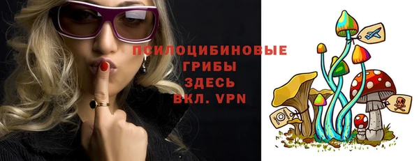 шишки Бородино