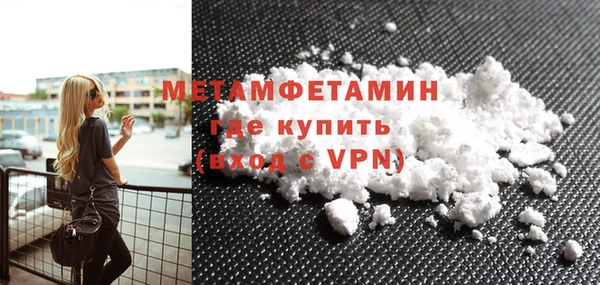 шишки Бородино