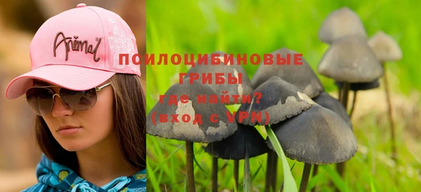 экстази Богородицк