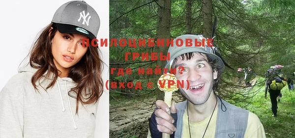 эйфоретик Богородск