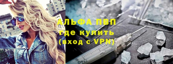 СК Дмитровск