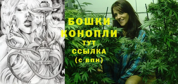 шишки Бородино