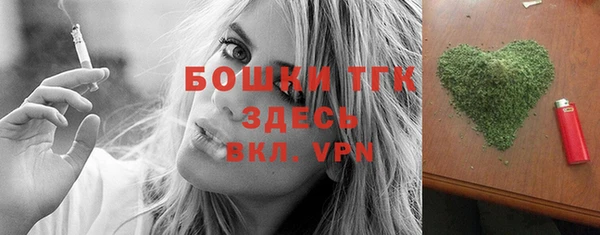 шишки Бородино