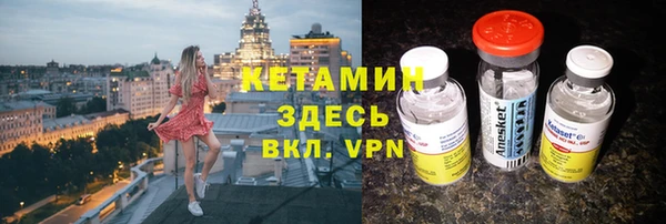 шишки Бородино