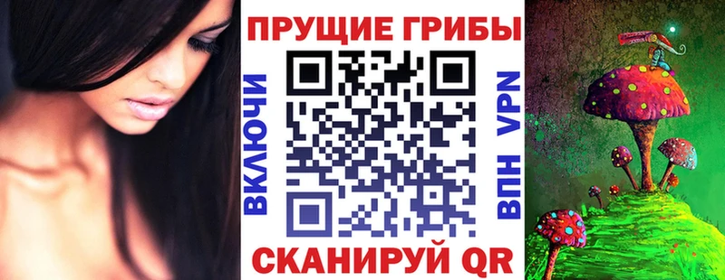 Псилоцибиновые грибы ЛСД  Белая Холуница 